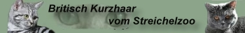Katzenfreunde-TopListe